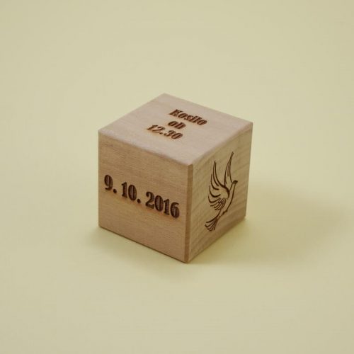 vabilo na leseni kocki